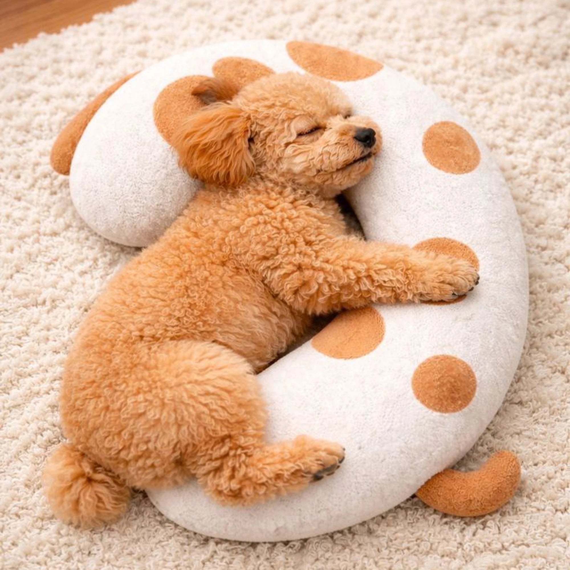 Dog Bed Pillow Soft Breathable Fabric Protects Spine Suitable Small Medium Sized Dogs Keeps Warm During Sleep
CUCCIA PER CANI MORMIDISSIMA